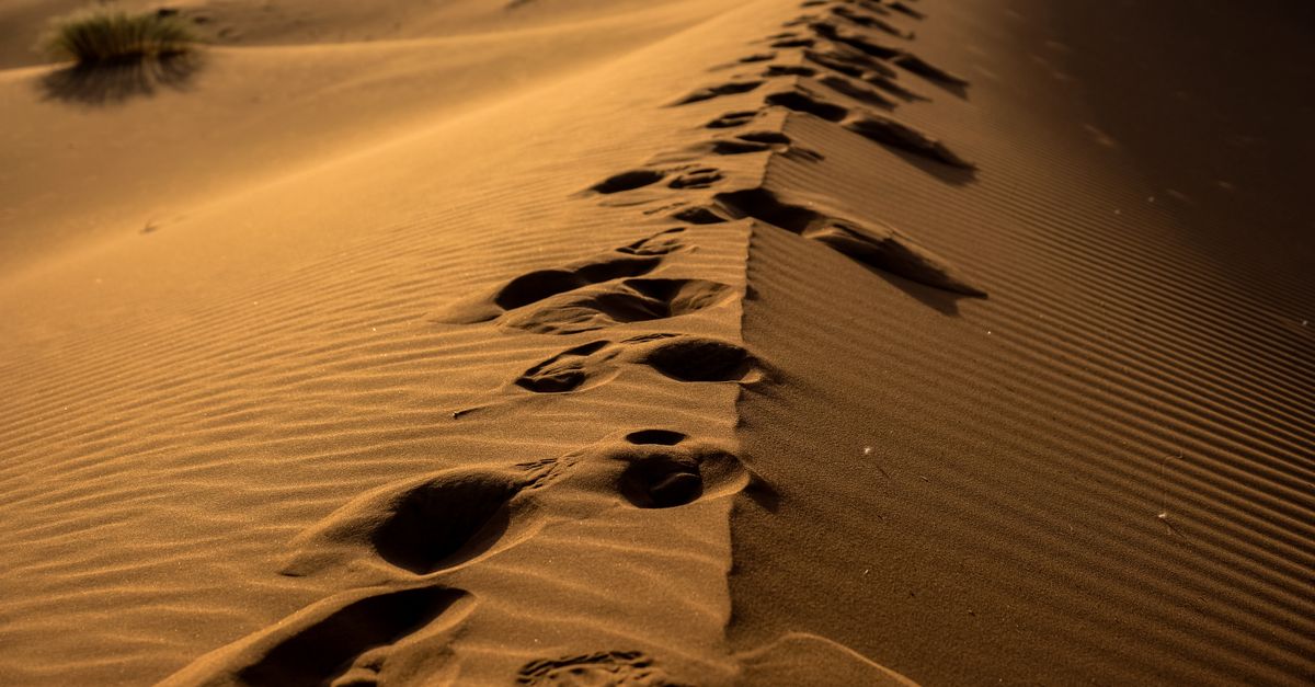 Dune: Parte Tres — qué sabemos sobre el cierre de la trilogía